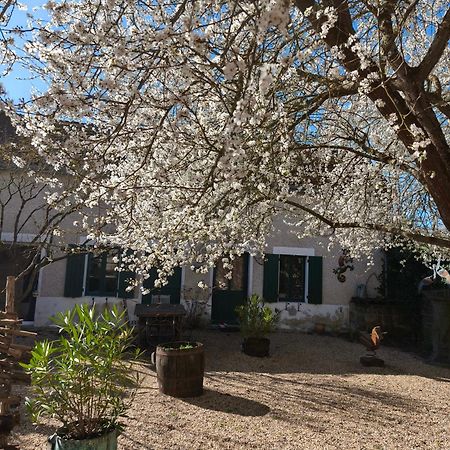 Le Cottage Des Sablons Pres Du Zoo De Beauval Saint-Romain-sur-Cher المظهر الخارجي الصورة