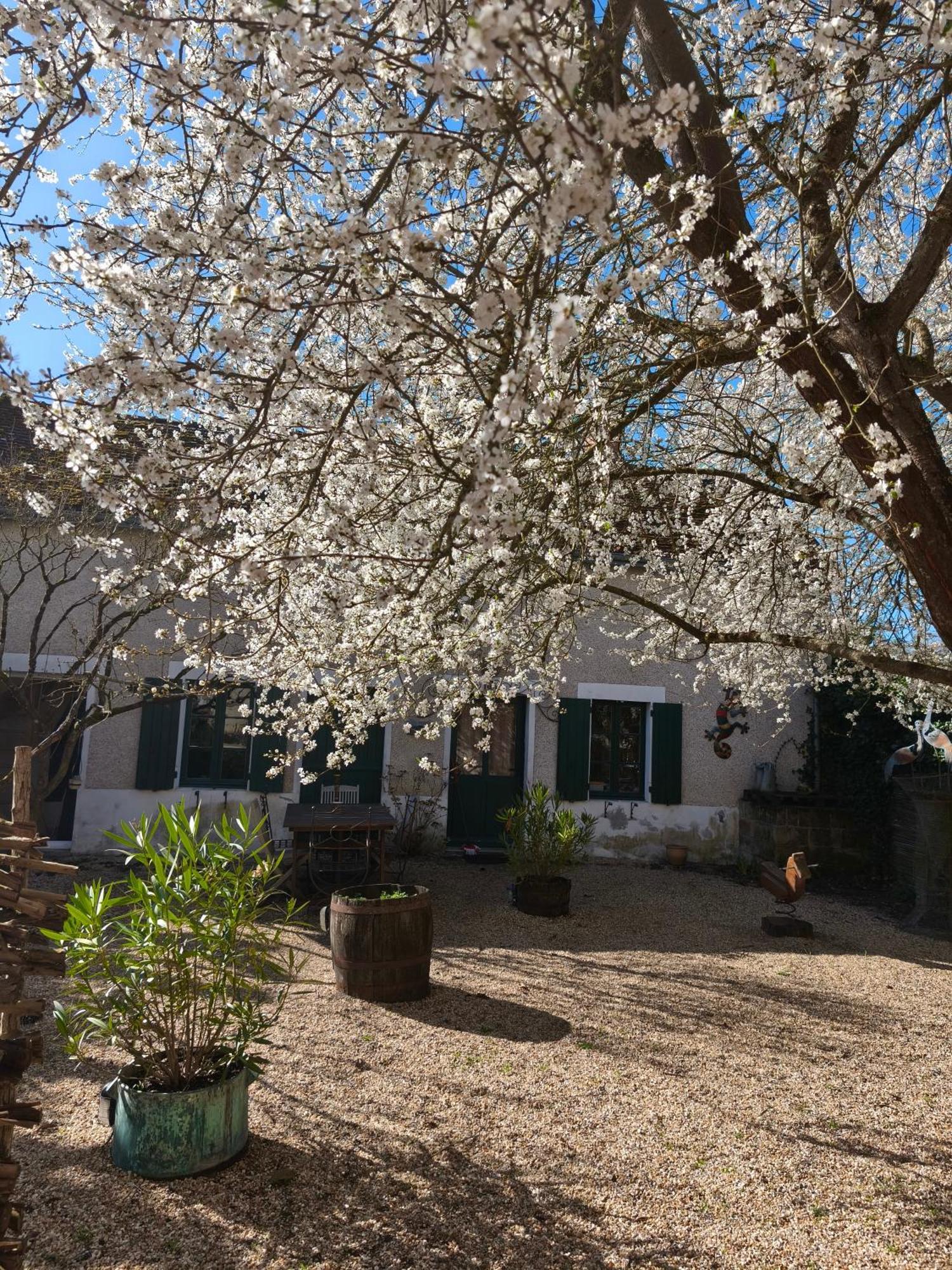 Le Cottage Des Sablons Pres Du Zoo De Beauval Saint-Romain-sur-Cher المظهر الخارجي الصورة